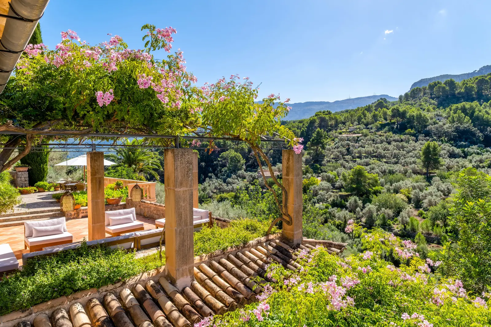 Flower-covered pergola terrace at a hillside finca wedding venue in Spain, with lounge seating overlooking olive groves and mountains