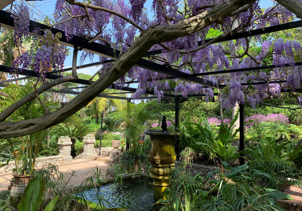 gibraltar+botanic+gardens+wedding